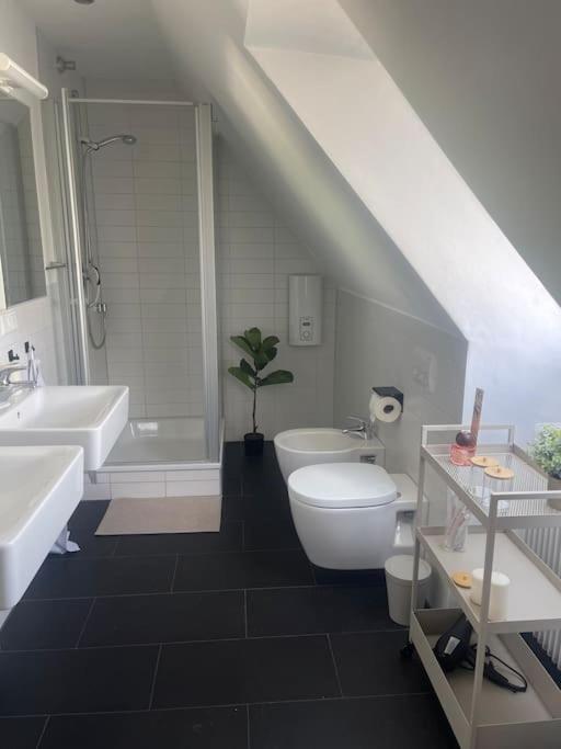 Apartment Two-story Loft In Nurembergs Location